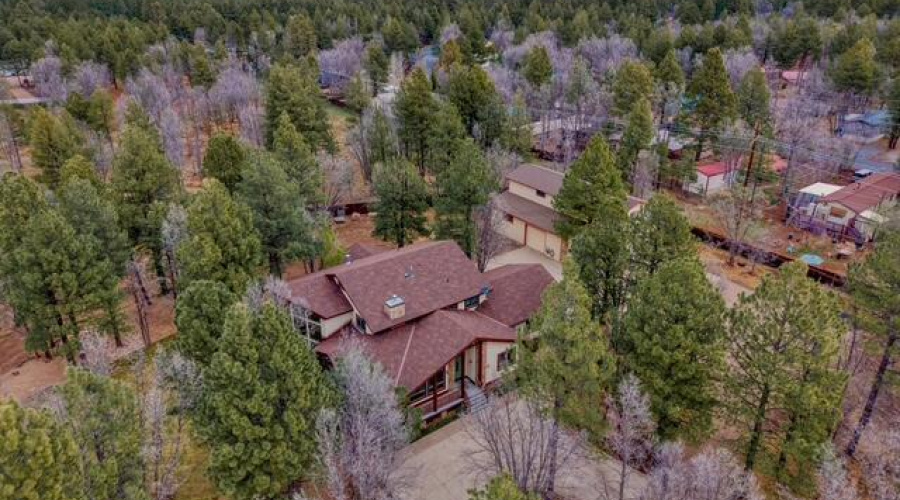 Flake drone view 3