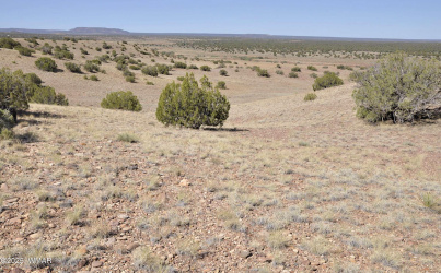 14 CR 5525, Concho, Arizona 85924, ,Land,For Sale,CR 5525,256589