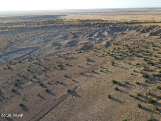 Lot 12 Carrizo Ranch N6204, St. Johns, Arizona 85936, ,Land,For Sale,Carrizo Ranch N6204,256598