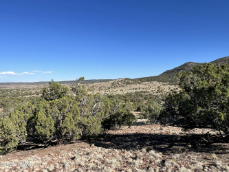 006 N8604, Concho, Arizona 85924, ,Land,For Sale,N8604,256216
