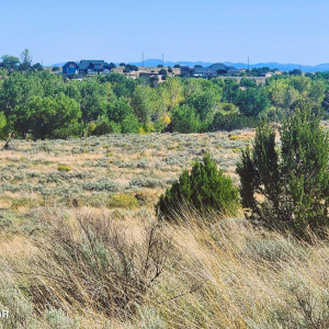 Tumbleweed 3