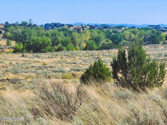 1415 Tumbleweed Trail, Snowflake, Arizona 85937, ,Land,For Sale,Tumbleweed,256613