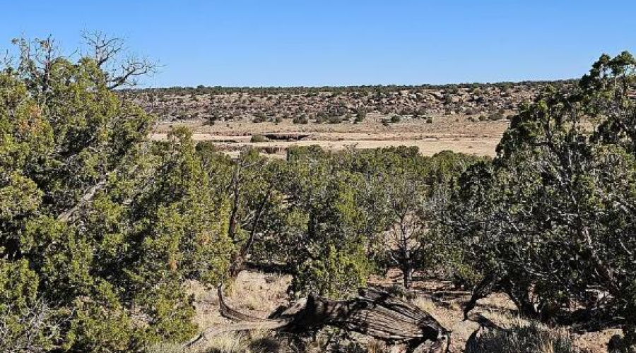 Screenshot 2025-06-19 121136