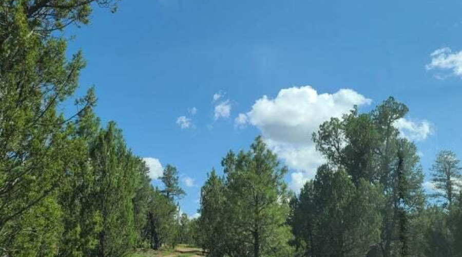 20210731021129312522000000-o