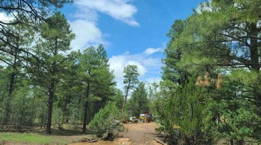 20210731021059125922000000-o