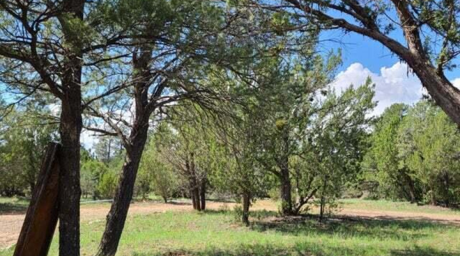 20210731021310512433000000-o