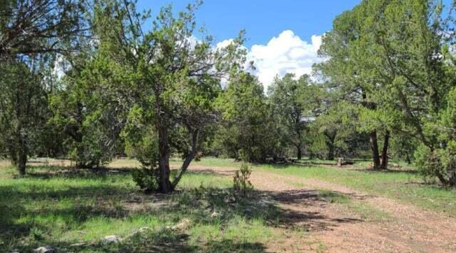 20210731021151333325000000-o