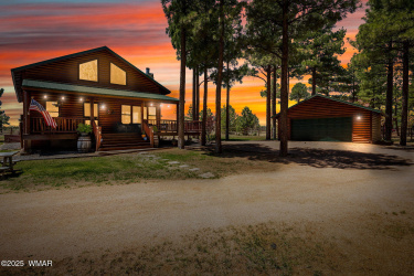 2295 Bison Ranch Trail, Overgaard, Arizona 85933, Bedrooms, ,Bathrooms,Residential,For Sale,Bison Ranch,256568