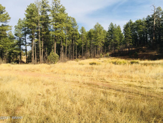 0000 AZ-260, Show Low, Arizona 85901, ,Land,For Sale,AZ-260,237544
