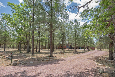 4218 Stargazer Drive, Happy Jack, Arizona 86024, Bedrooms, ,Bathrooms,Residential,For Sale,Stargazer,92442