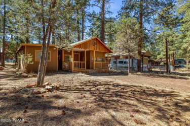 2175 Woods Drive, Overgaard, Arizona 85933, Bedrooms, ,Bathrooms,Residential,For Sale,Woods,255145