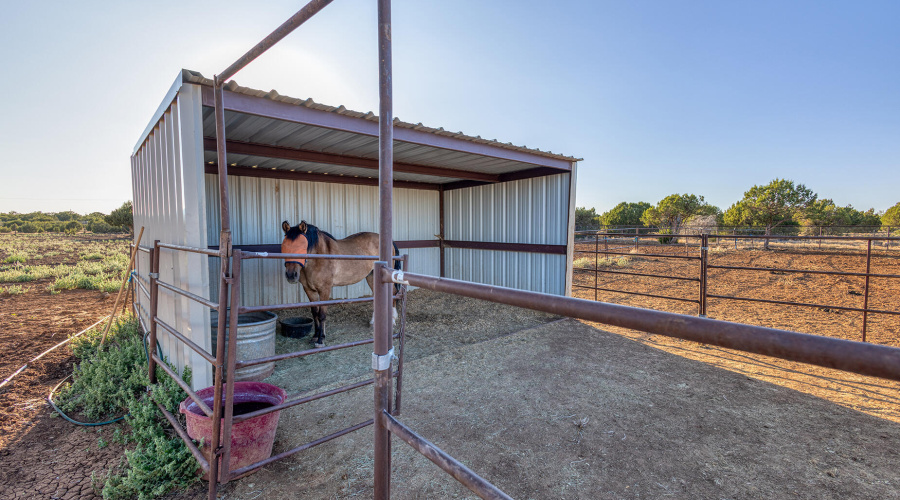 photo(37) 15 CR 3125 Vernon Mia 0625