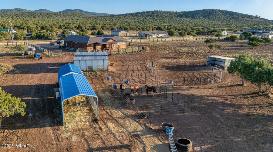 photo(42) 15 CR 3125 Vernon Mia 0625