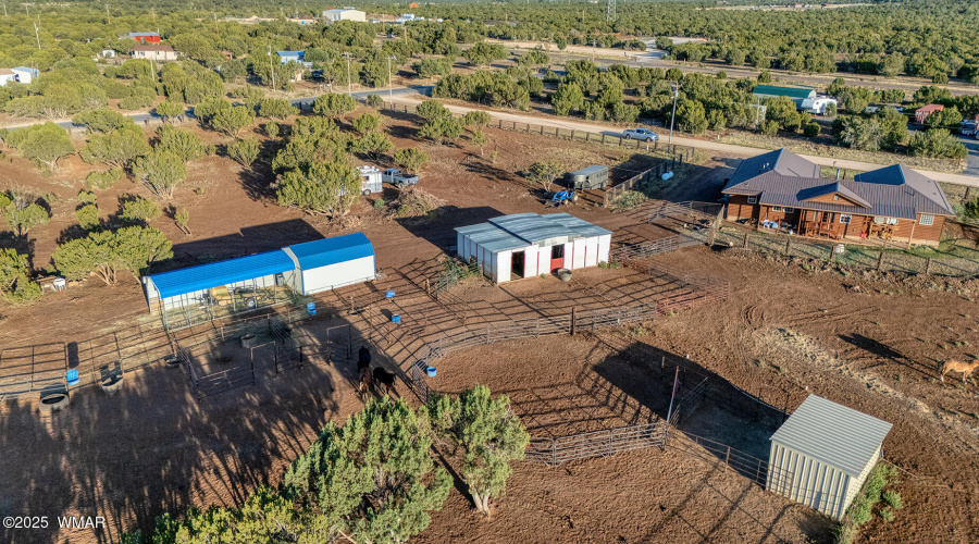 photo(41) 15 CR 3125 Vernon Mia 0625