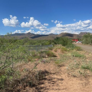 tatum Trail