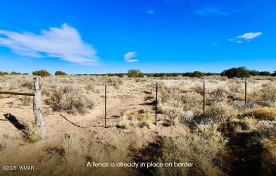 TBD Cedar Hills 104.79 Acres, St. Johns, Arizona 85936, ,Land,For Sale,Cedar Hills 104.79 Acres,256650