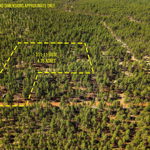 915BirdsongWay-Lakeside-AZ-ParcelLines-6