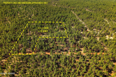 E-TBD Birdsong Way, Lakeside, Arizona 85929, ,Land,For Sale,Birdsong,256666