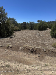 3 County Road, Vernon, Arizona 85940, ,Land,For Sale,County,256659