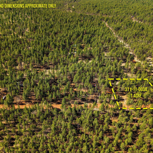 915BirdsongWay-Lakeside-AZ-ParcelLines-2