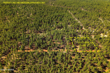 A-TBD Birdsong Way, Lakeside, Arizona 85929, ,Land,For Sale,Birdsong,256662
