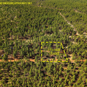 915BirdsongWay-Lakeside-AZ-ParcelLines-3