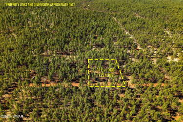 D-TBD Birdsong Way, Lakeside, Arizona 85929, ,Land,For Sale,Birdsong,256664