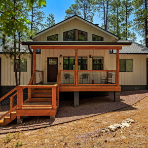262067-Alpine-AZ-2