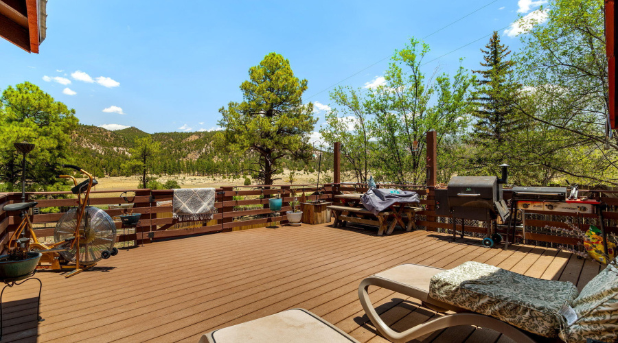 96CoRd2180-Nutrioso-AZ-20