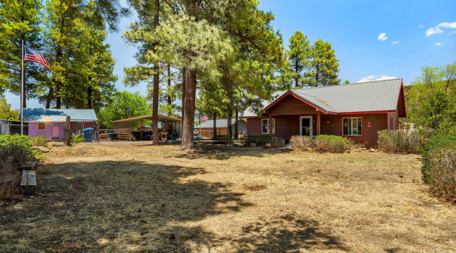 96CoRd2180-Nutrioso-AZ-3