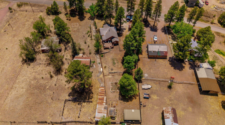 96CoRd2180-Nutrioso-AZ-26