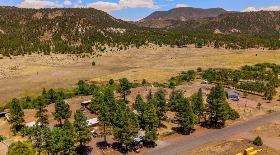 96CoRd2180-Nutrioso-AZ-29