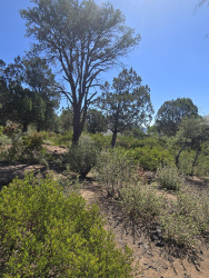 1103 Scenic Drive, Payson, Arizona 85541, ,Land,For Sale,Scenic,92463