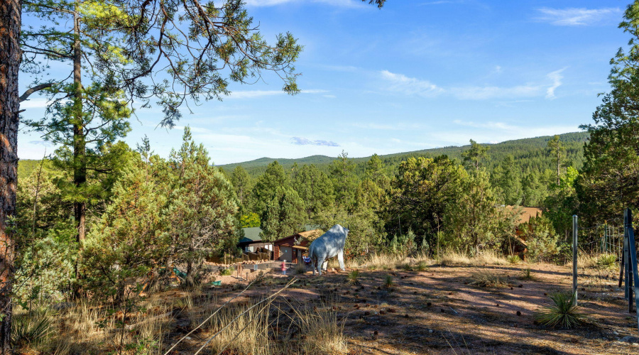 1022SHunterCreekDr-Payson-AZ-59