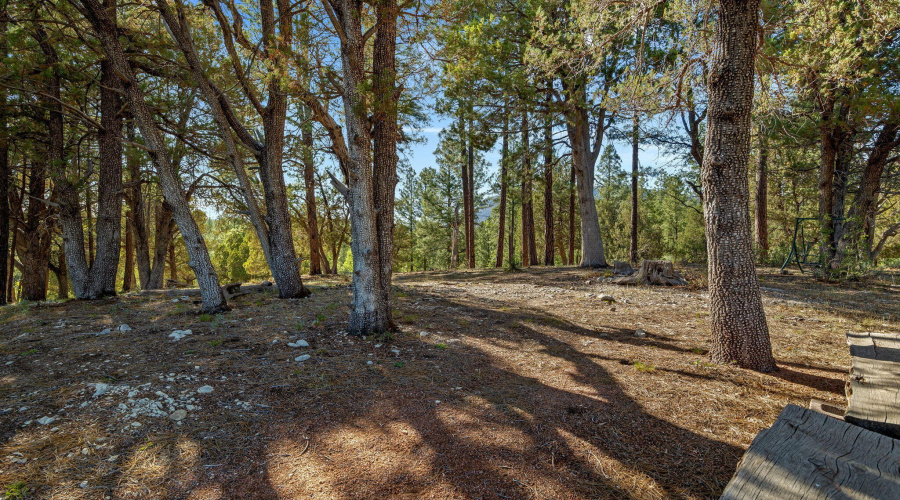 1022SHunterCreekDr-Payson-AZ-60
