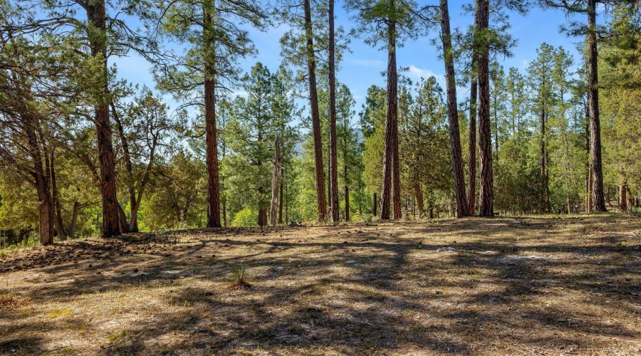 1022SHunterCreekDr-Payson-AZ-61