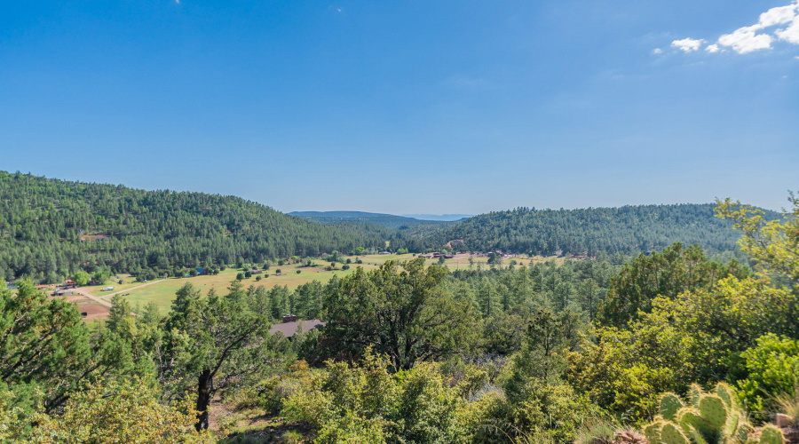 57-web-or-mls-Turkey-Community-5