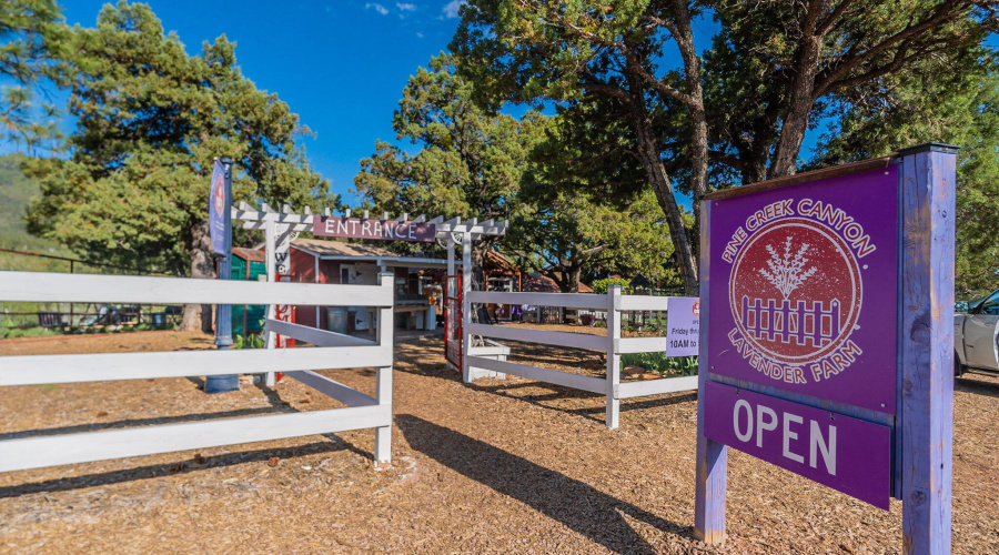 73-web-or-mls-Turkey-Community-21