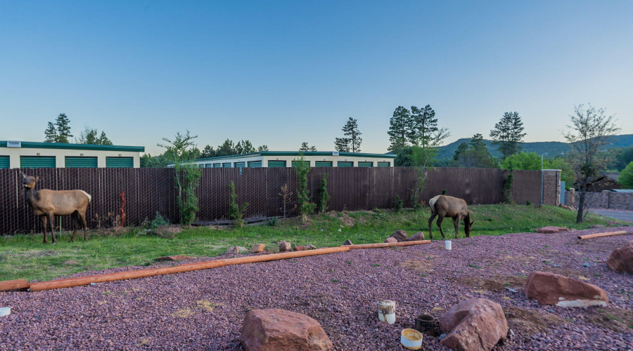 86-web-or-mls-Turkey-Community-34