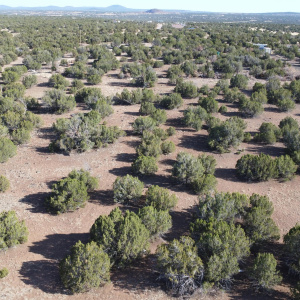 DJI_0080