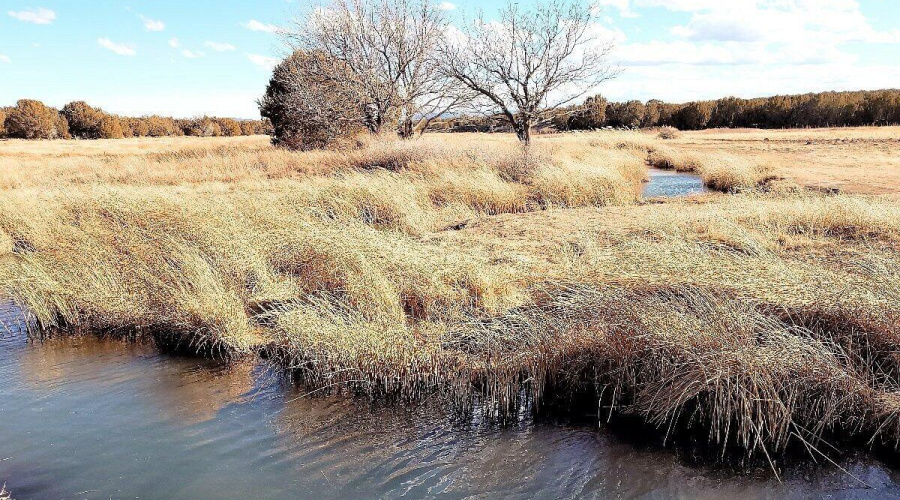 Silver Creek Fish Hatchery
