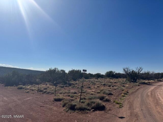 36 County Road N8487, Concho, Arizona 85924, ,Land,For Sale,County Road N8487,256690