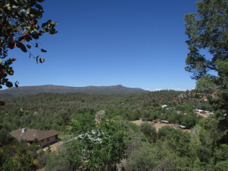 23 Buckskin Lane, Star Valley, Arizona 85541, ,Land,For Sale,Buckskin,92475