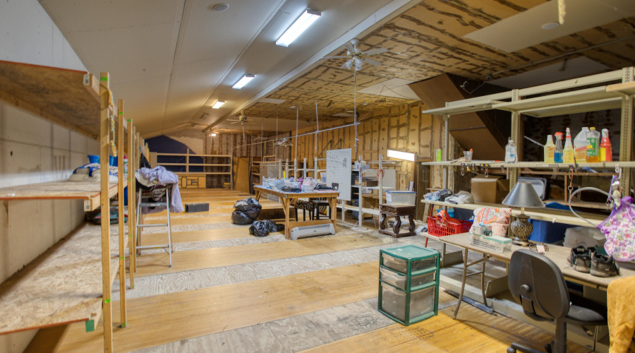 Paxmanphoto_PAX_6849-X4