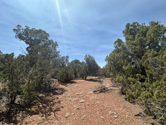 Lot #2 Power Line Road, Heber, Arizona 85928, ,Land,For Sale,Power Line Road,92478