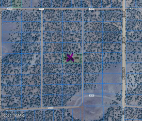 TBD CR 8115, Concho, Arizona 85924, ,Land,For Sale,CR 8115,256731