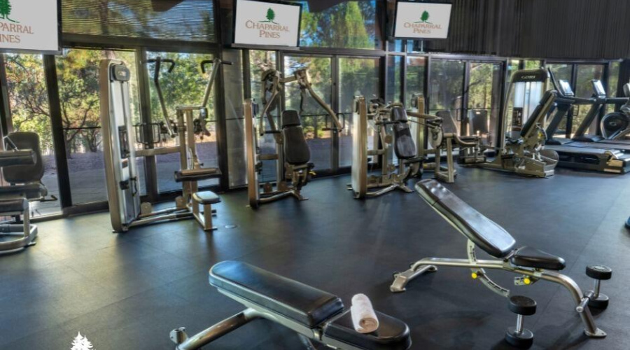 Chaparral pines club3