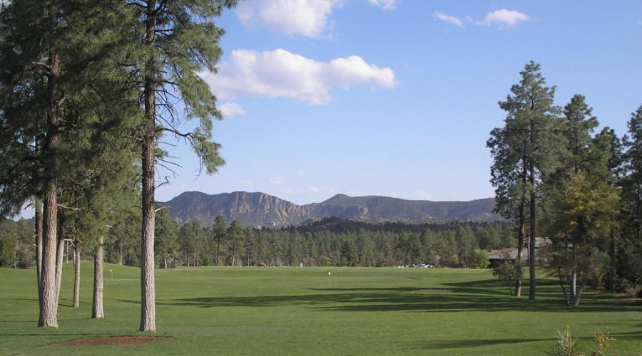 20151210215523132817000000-o