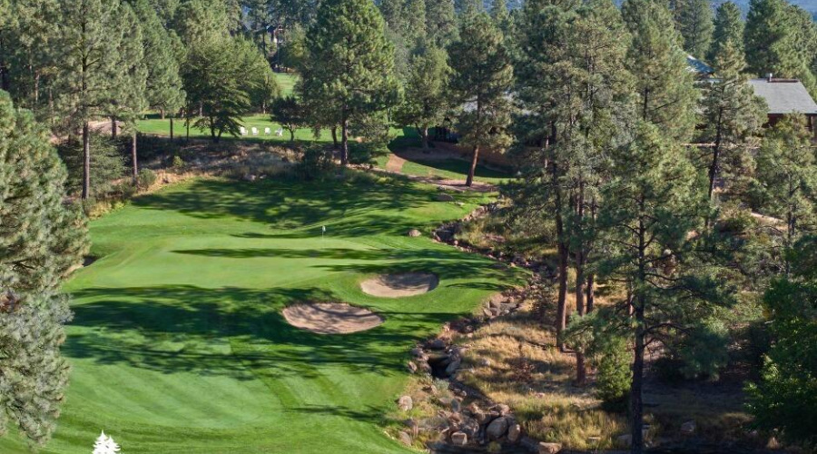 Chaparral pines club5