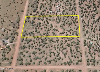 4289 Colt Road, Snowflake, Arizona 85937, ,Land,For Sale,Colt,256730